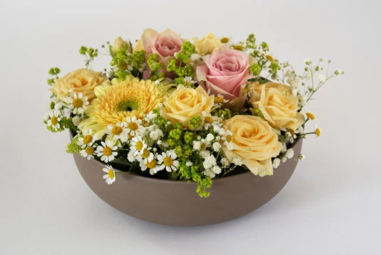 Complex-Clipping-Path-Services_Before