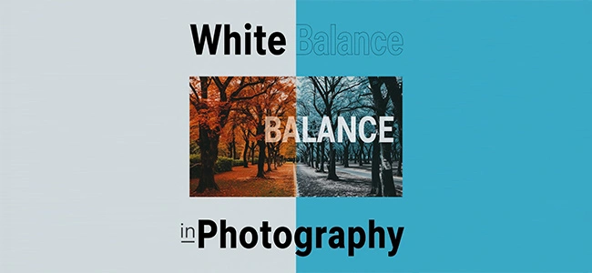 White-Balance-in-Photography